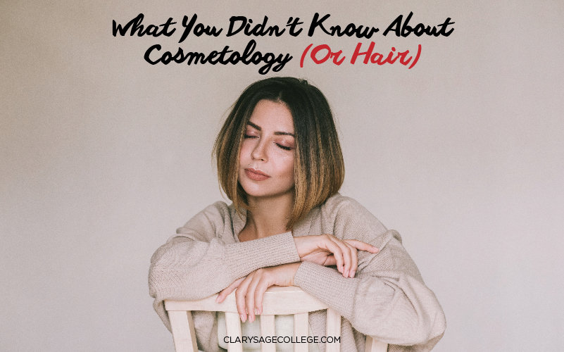 What You Didn’t Know About Cosmetology (Or Hair)